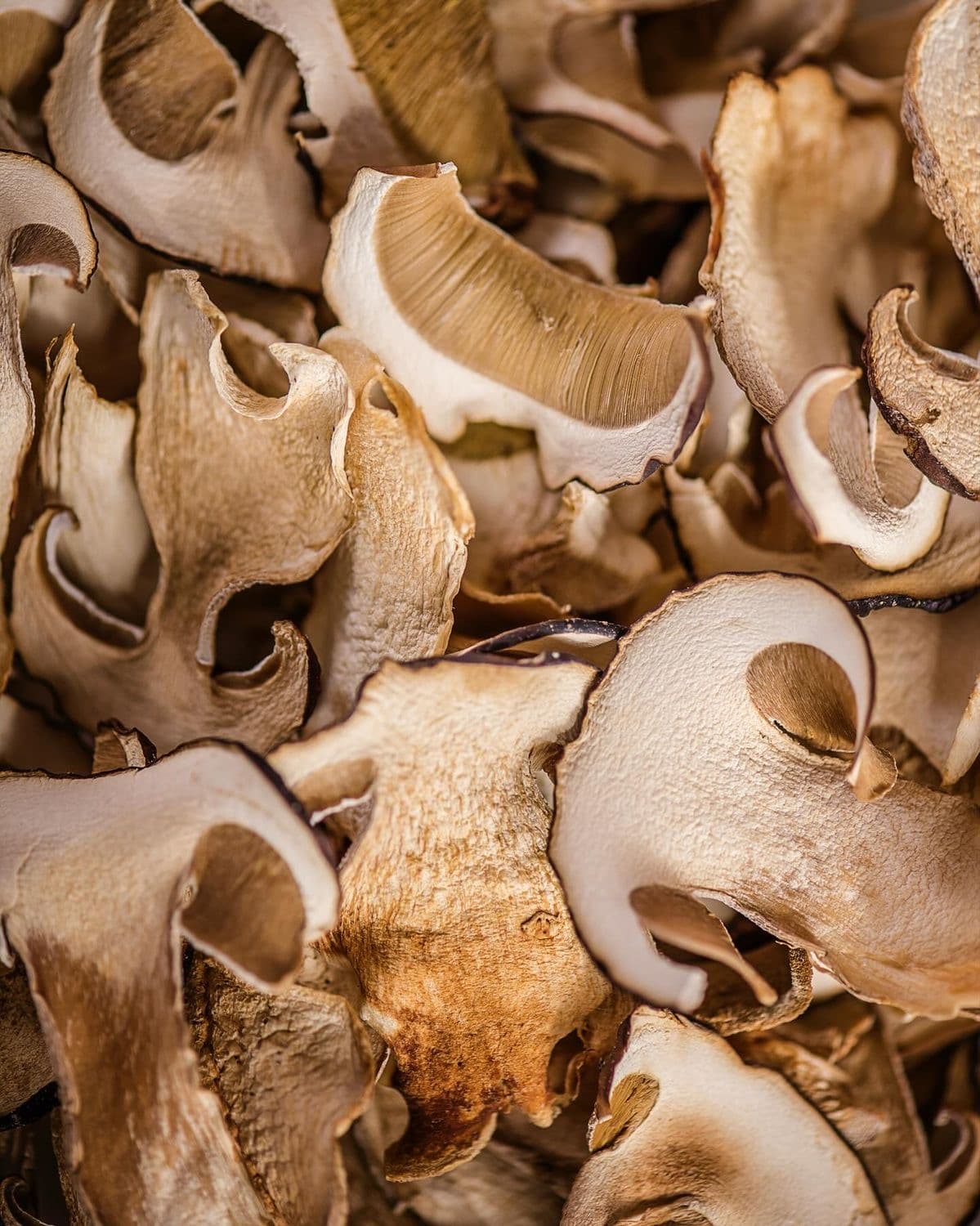 Dried mushrooms